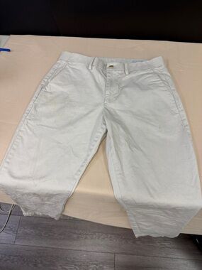 Men's Classic Cotton Chino Pants GAP 29 30 slim pants light stains see pics